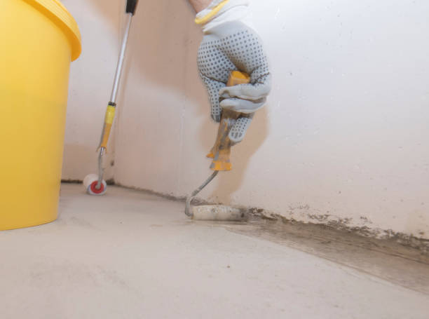 Best Fumigation Services  in Higginsville, MO